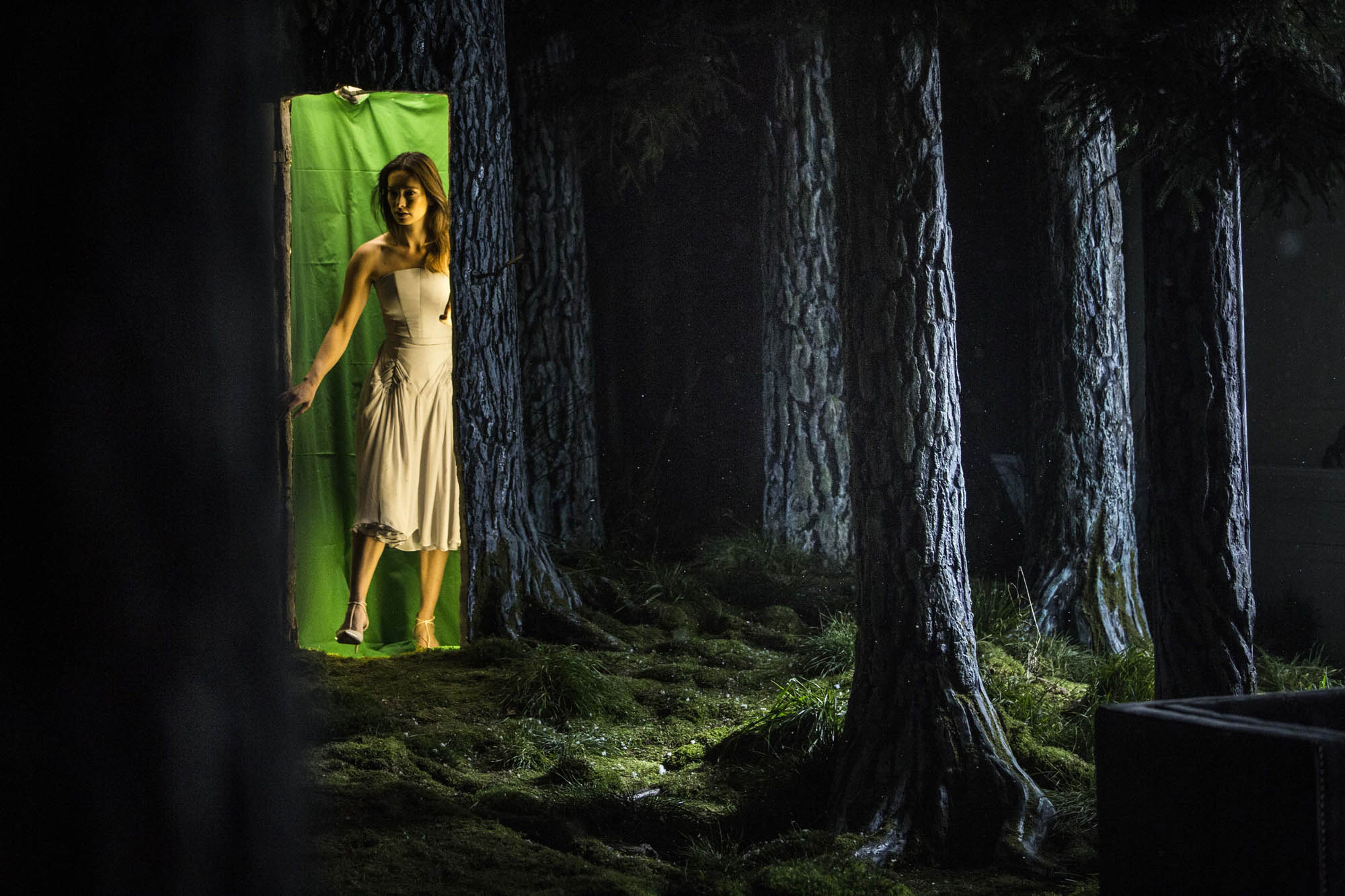 Glade / Art Director: Jiri Karasek